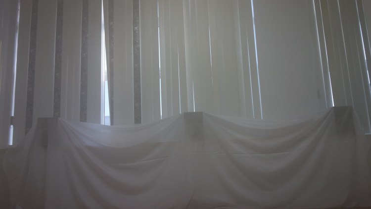 Cartilages vrombissants - Félix-Antoine Morin