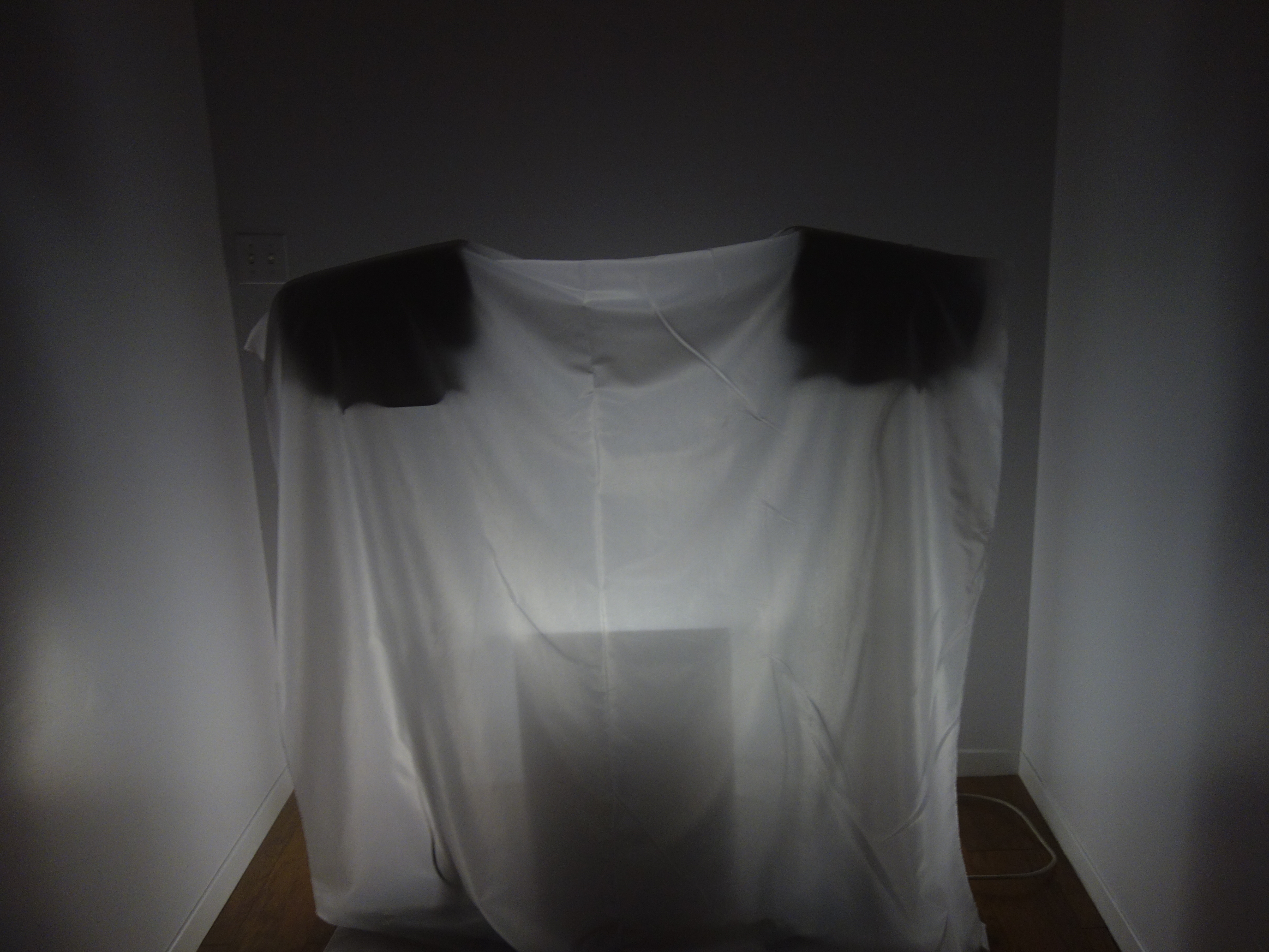 Cartilages vrombissants - Félix-Antoine Morin