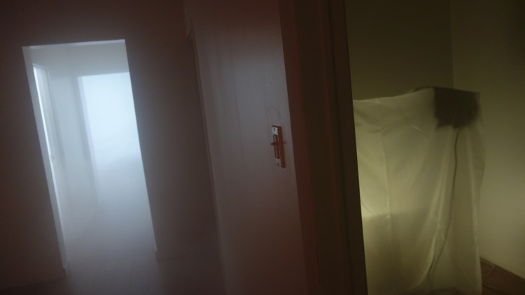 Cartilages vrombissants - Félix-Antoine Morin