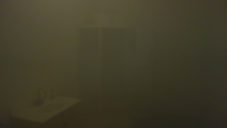 Cartilages vrombissants - Félix-Antoine Morin