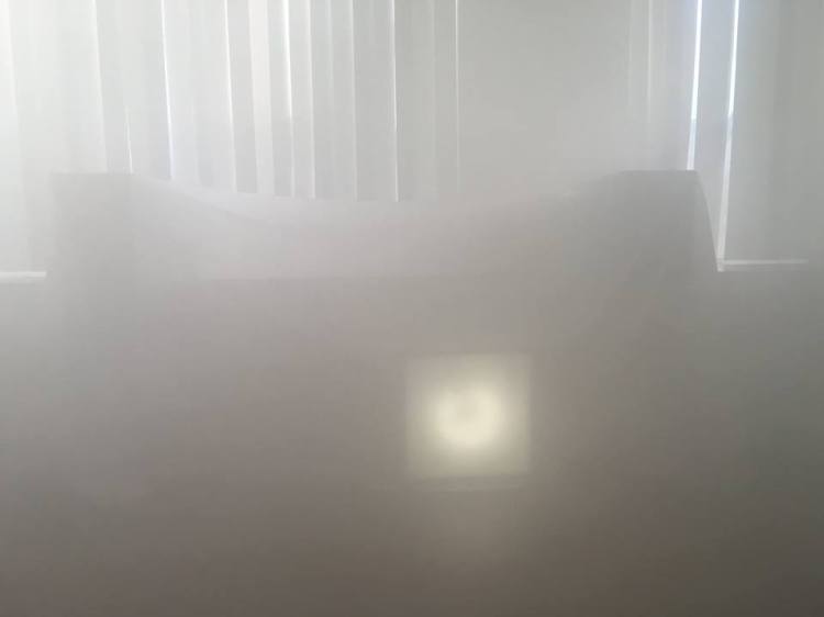 Cartilages vrombissants - Félix-Antoine Morin