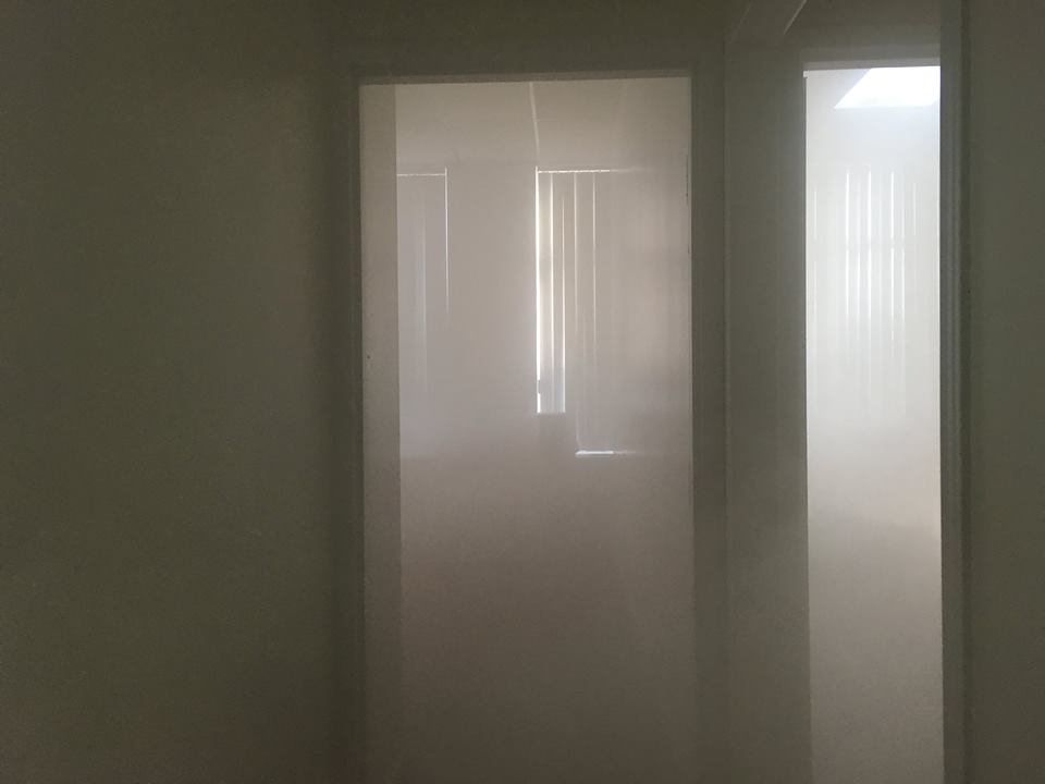 Cartilages vrombissants - Félix-Antoine Morin