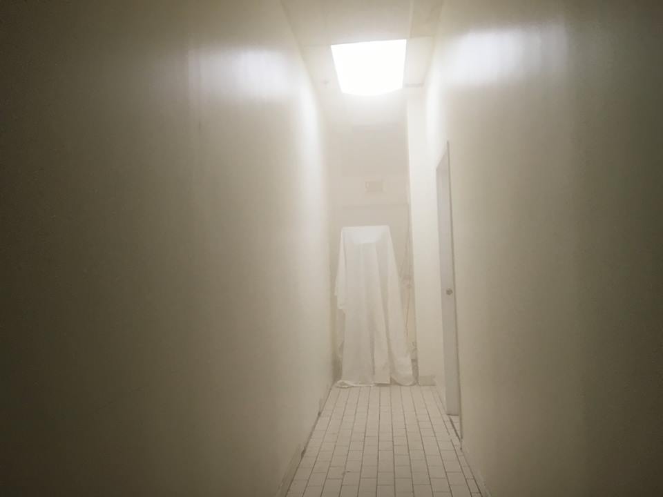 Cartilages vrombissants - Félix-Antoine Morin