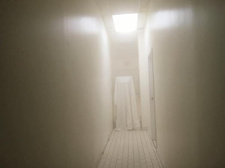 Cartilages vrombissants - Félix-Antoine Morin