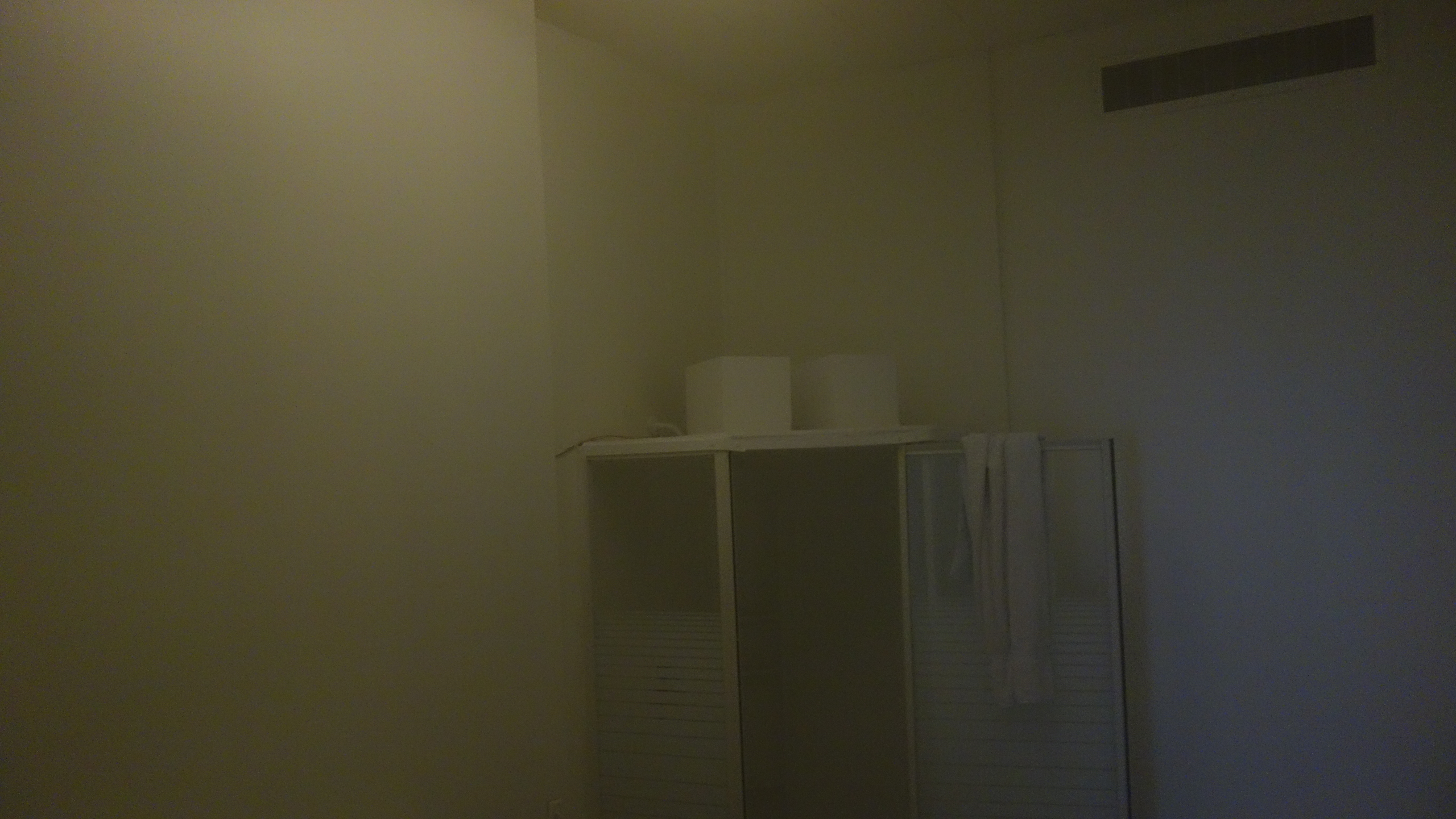 Cartilages vrombissants - Félix-Antoine Morin