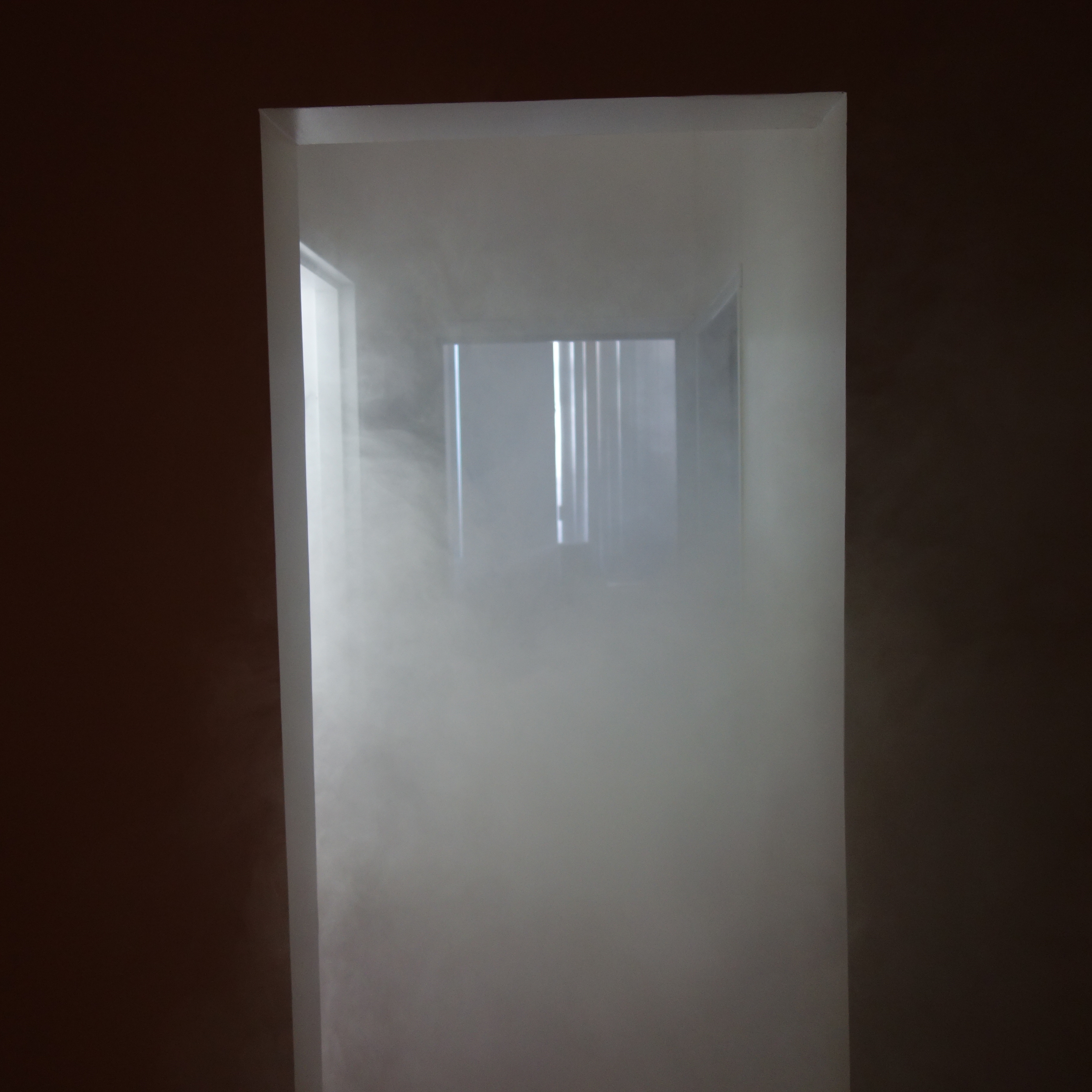 Cartilages vrombissants - Félix-Antoine Morin