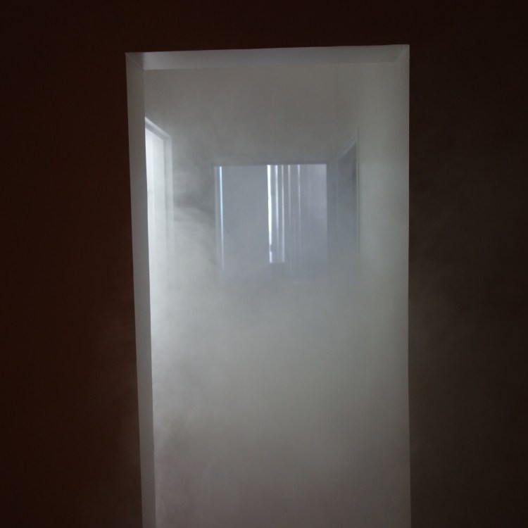 Cartilages vrombissants - Félix-Antoine Morin