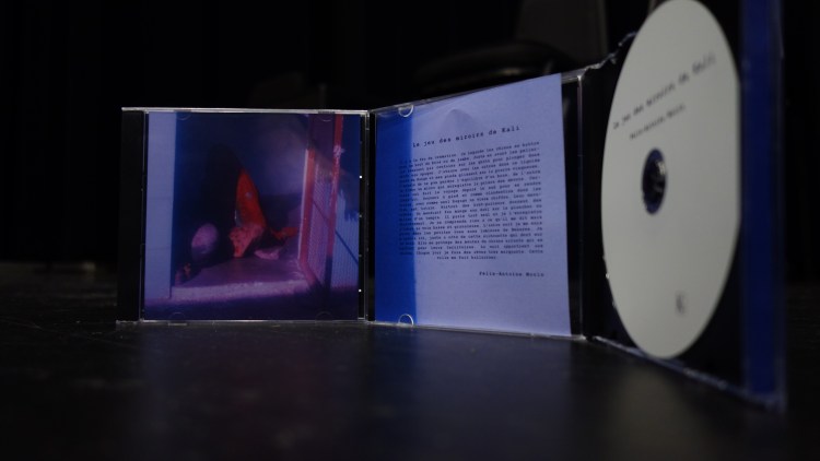 Le jeu des miroirs de Kali by Félix-Antoine Morin